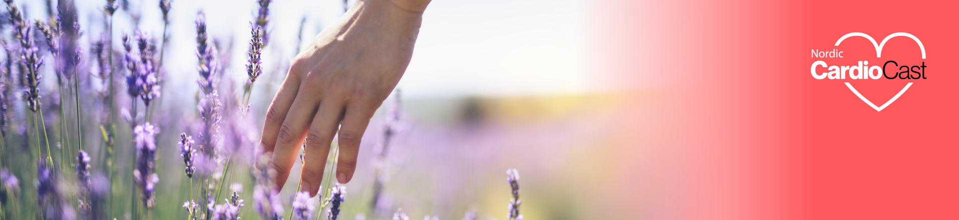 Banner Nordic CardioCast Sommar 2025