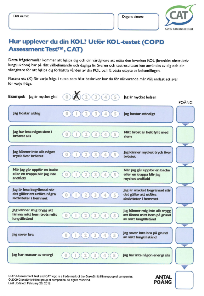 CAT frågeformular